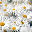 ���� �������, ��������� - ��������� 28 ����� 2012 � ������ ���� ����������