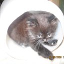 ���� ���������, ������ ��������, 46 ��� - ��������� 26 ������ 2009 � ������ ���� ��������: ��������