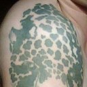 ���� ����, �����, 47 ��� - ��������� 7 ������ 2010 � ������ �������