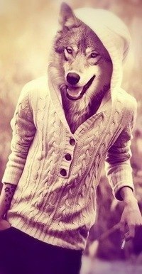 ���� �������, ��������, 38 ��� - ��������� 12 ��� 2013