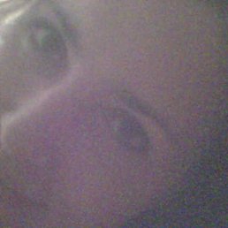 �������, 44 ����, ��������