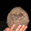 ���� ����, �������-���������, 45 ��� - ��������� 29 ������ 2013 � ������ ���� ����������