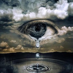 ���� Prisoner, ������ - ��������� 8 ������� 2012