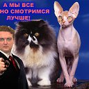 ���� ����, ������, 50 ��� - ��������� 29 ������� 2012