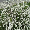 ���� ���� ����, ����������, 50 ��� - ��������� 19 ����� 2010 � ������ ������-2009�