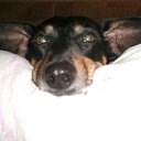 ���� ���������, ������, 55 ��� - ��������� 14 ��� 2012 � ������ ���� ����������