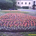 ���� ������, ������, 37 ��� - ��������� 14 ���� 2010 � ������ �������