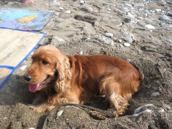 ���� ������, ����, 45 ��� - ��������� 13 ����� 2012