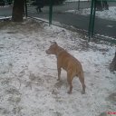 ���� ����� �� ������� �������