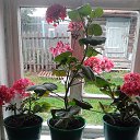 ���� ����������, ������, 58 ��� - ��������� 12 ���� 2013 � ������ ���� ����������