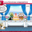 ���� Reana, �����-���������, 46 ��� - ��������� 7 ������� 2010 � ������ �PetLove�
