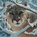 ���� ����� - ���������� ��������!!!, �����������, 56 ��� - ��������� 27 ������� 2009 � ������ ���������� �������Ż