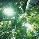 ���� ����, ������, 41 ��� - ��������� 26 ��� 2009 � ������ �������