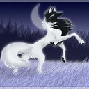 ���� ����, ������, 24 ���� - ��������� 19 ������ 2010 � ������ ���������