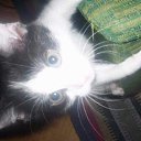 ���� Nrk, ������-���, 43 ���� - ��������� 28 ������� 2008 � ������ �������