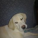 ���� �����, ���������, 53 ���� - ��������� 1 ������� 2010 � ������ ���� ��������