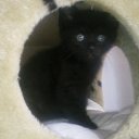 ���� Natalya, ��������, 56 ��� - ��������� 11 ������� 2011 � ������ ����� ����, ���� � &amp;�