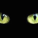 ���� �����, �����������, 60 ��� - ��������� 13 ������� 2011 � ������ ���� ����������