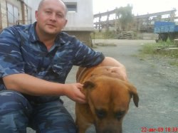 �������, ����, 49 ���