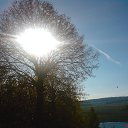 ���� ����������, ������, 58 ��� - ��������� 20 ������ 2013 � ������ ���� ����������
