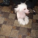 ���� ������-������� ��� ���� �����, ��������, 85 ��� - ��������� 27 ����� 2010 � ������ ������ �������