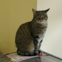 ����� �����. �������� �������� ���������� "��������". �������