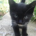 ���� �������, �����, 57 ��� - ��������� 1 ���� 2013 � ������ ����� ��� ������������