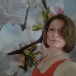 ���� ������, �������� ����, 51 ��� - ��������� 4 ������ 2013