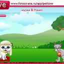 ���� ��������, ����-�����������, 25 ��� - ��������� 12 �������� 2010 � ������ �PetLove�