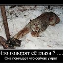 ���� ����, ����, 50 ��� - ��������� 16 ������ 2010 � ������ �������