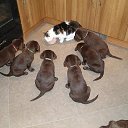 ���� E��������, ������, 59 ��� - ��������� 26 ���� 2013 � ������ ������ ��������