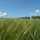  , , 69  -  29  2013    ...