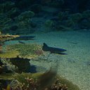  , , 47  -  7  2010   - 2010