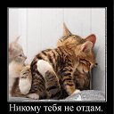 ���� ����, ����, 50 ��� - ��������� 16 ������ 2010 � ������ �������