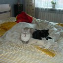 ���� ����, �����-���������, 64 ���� - ��������� 29 ��� 2012 � ������ ���� ������