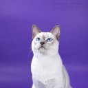 ���� Len7315, ����, 43 ���� - ��������� 16 ����� 2010 � ������ ������ �����