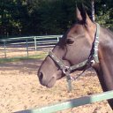 ���� Lev, ����, 59 ��� - ��������� 8 ������� 2012 � ������ �������