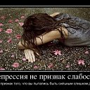 ���� �������, ����������, 38 ��� - ��������� 31 ��� 2012 � ������ ���� ����������