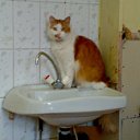 ���� ���������, �����-��������� - ��������� 2 �������� 2012