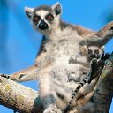 ���� �������, �������, 44 ���� - ��������� 19 ����� 2010 � ������ ������...�