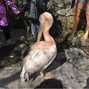 ���� �����, ����������, 28 ��� - ��������� 3 ����� 2012