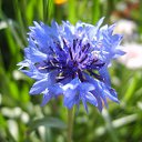 ���� ��������, ������ - ��������� 11 �������� 2011 � ������ �������� ����˨���