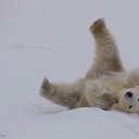 ���� �������, ���������, 42 ���� - ��������� 25 ����� 2012 � ������ �������������