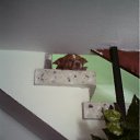 ���� Jane, �����������, 67 ��� - ��������� 10 ������ 2012