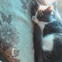  , -, 61  -  12  2012   