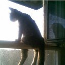 ���� ���� (�������� ���), ���������, 54 ���� - ��������� 16 ��� 2010 � ������ �������