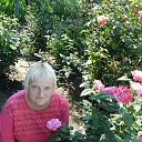 ���� �������, ������� - ��������� 20 ������� 2012 � ������ ���� ����������