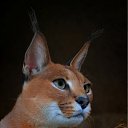 ���� ������, �������, 29 ��� - ��������� 24 ������� 2010 � ������ ���� ����