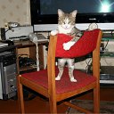 ���� �������, �����, 62 ���� - ��������� 15 ��� 2011 � ������ �������