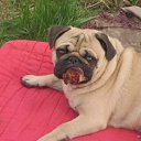 ���� ������, ������ - ��������� 14 ����� 2011 � ������ ���� � � ��� ������...�